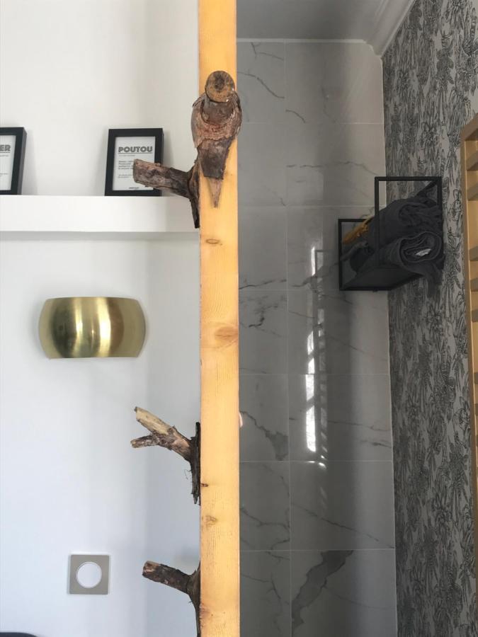 Apartament La Loge 45 Au Coeur Du Centre Historique De Rodez Zewnętrze zdjęcie